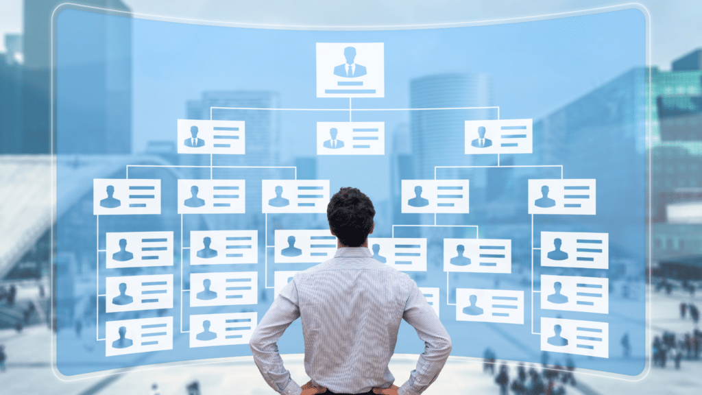 Organizational Structure